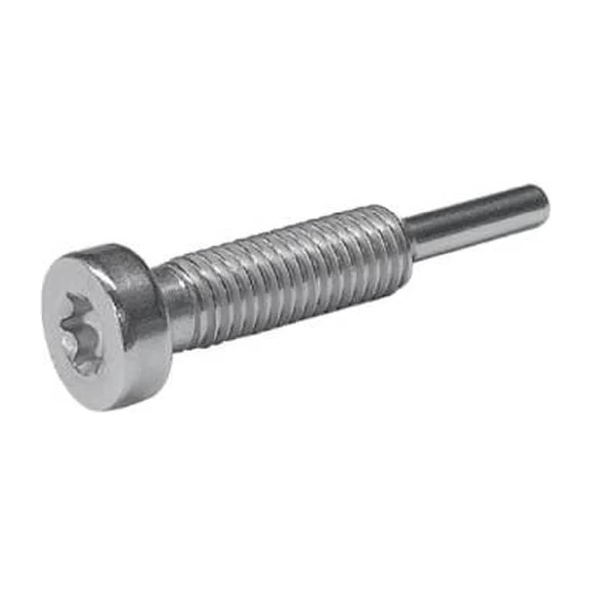 Flat Head Torx Wood Screw 13 mm